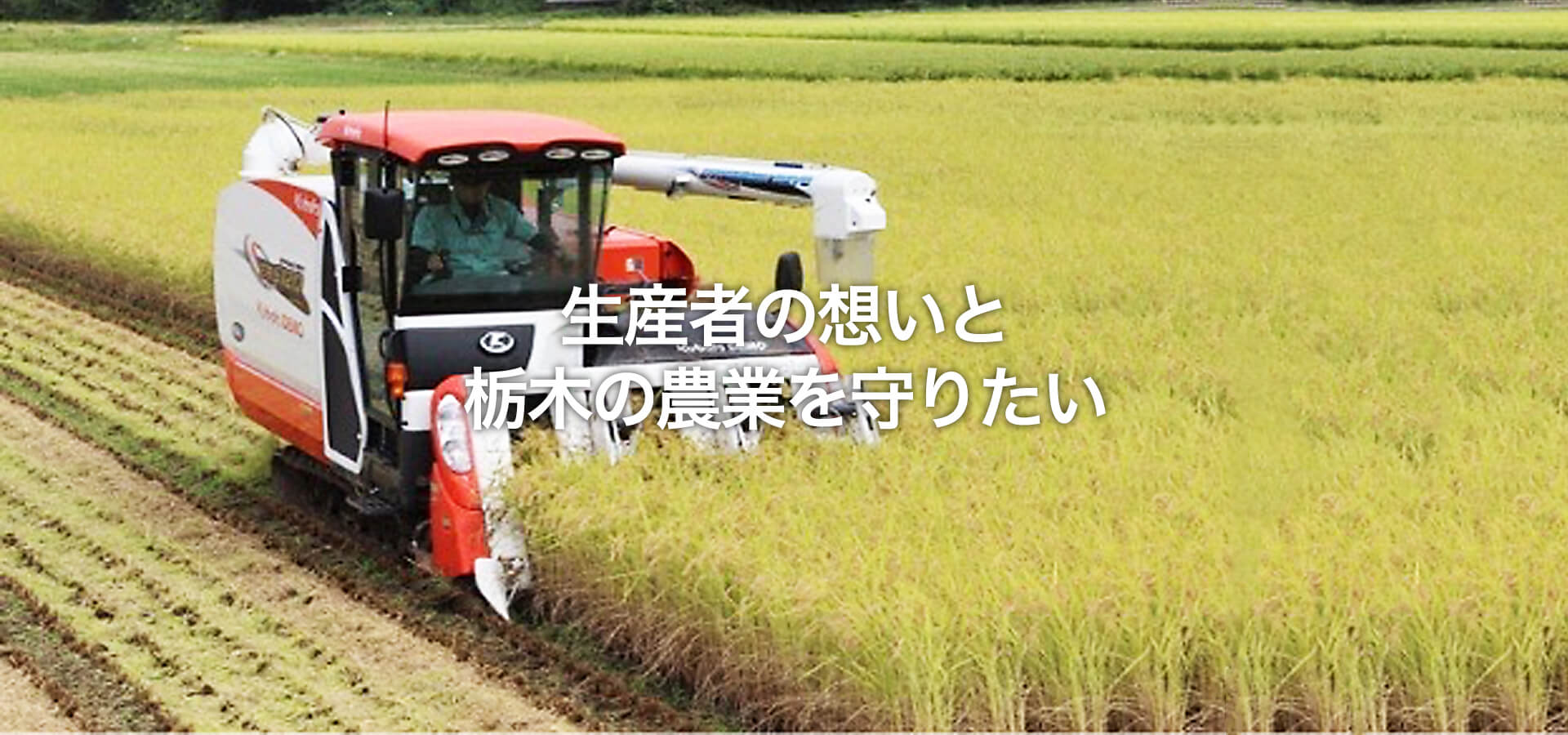生産者の想いと栃木の農業を守りたい